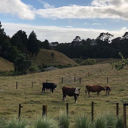 Pukeko Lodge Bnb นิวพลีมัธ ภายนอก รูปภาพ