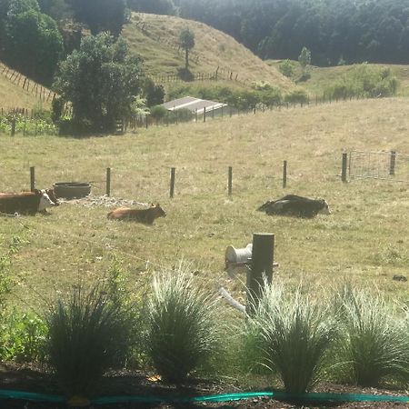 Pukeko Lodge Bnb นิวพลีมัธ ภายนอก รูปภาพ