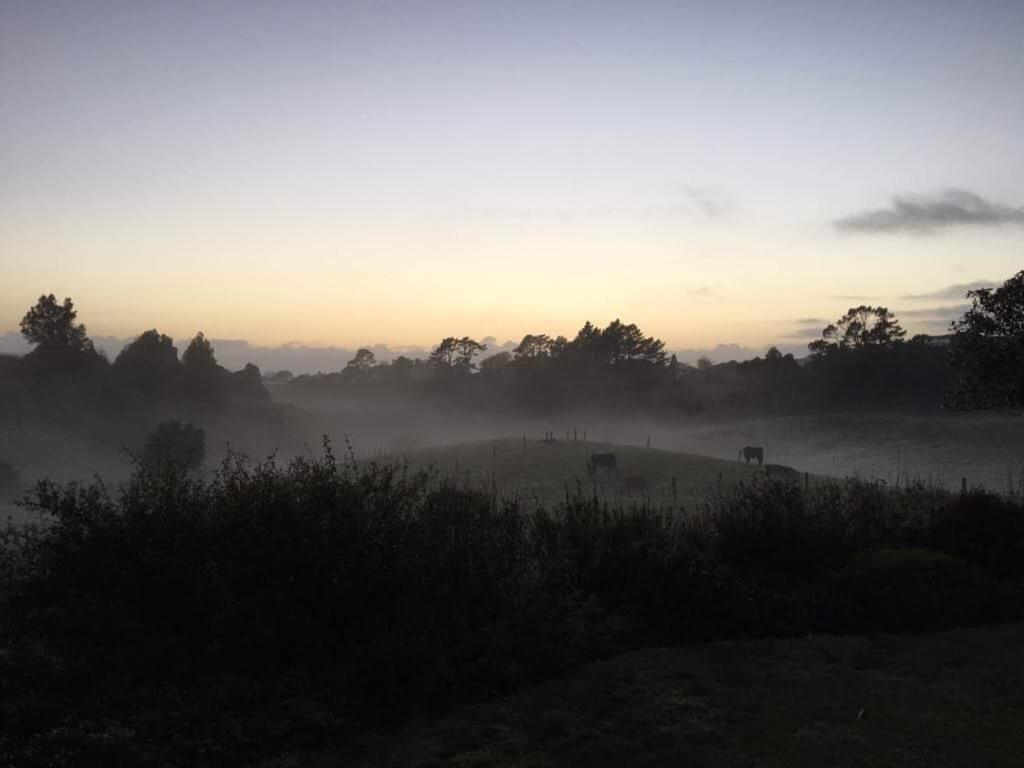 Pukeko Lodge Bnb นิวพลีมัธ ภายนอก รูปภาพ