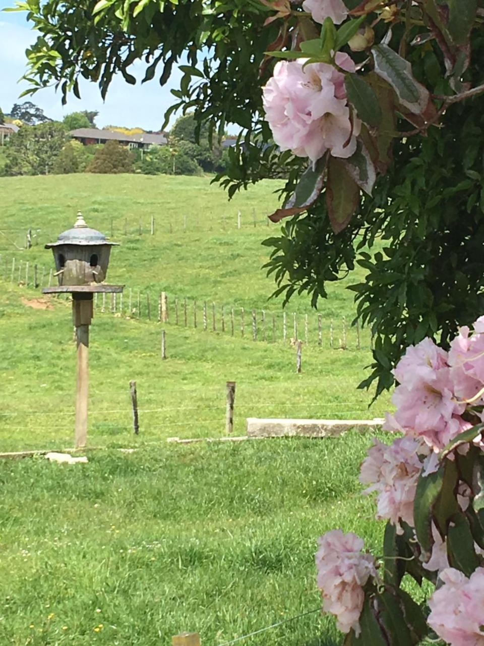 Pukeko Lodge Bnb นิวพลีมัธ ภายนอก รูปภาพ