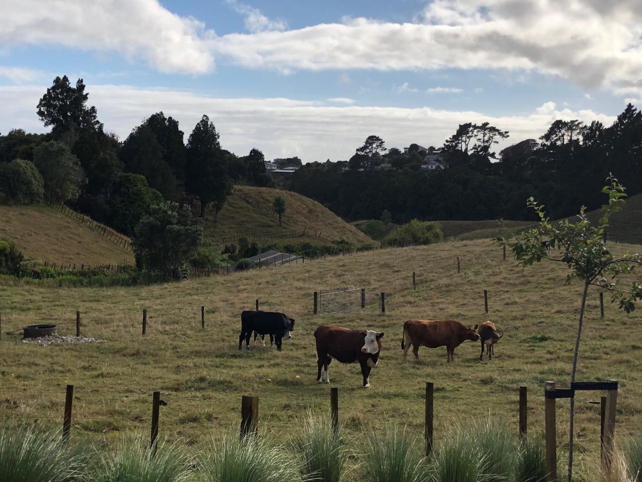 Pukeko Lodge Bnb นิวพลีมัธ ภายนอก รูปภาพ