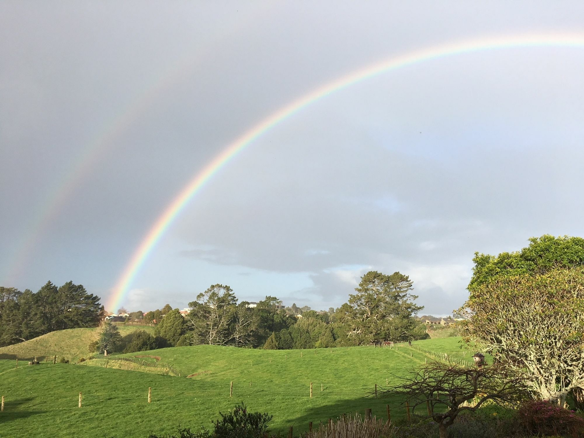 Pukeko Lodge Bnb นิวพลีมัธ ภายนอก รูปภาพ